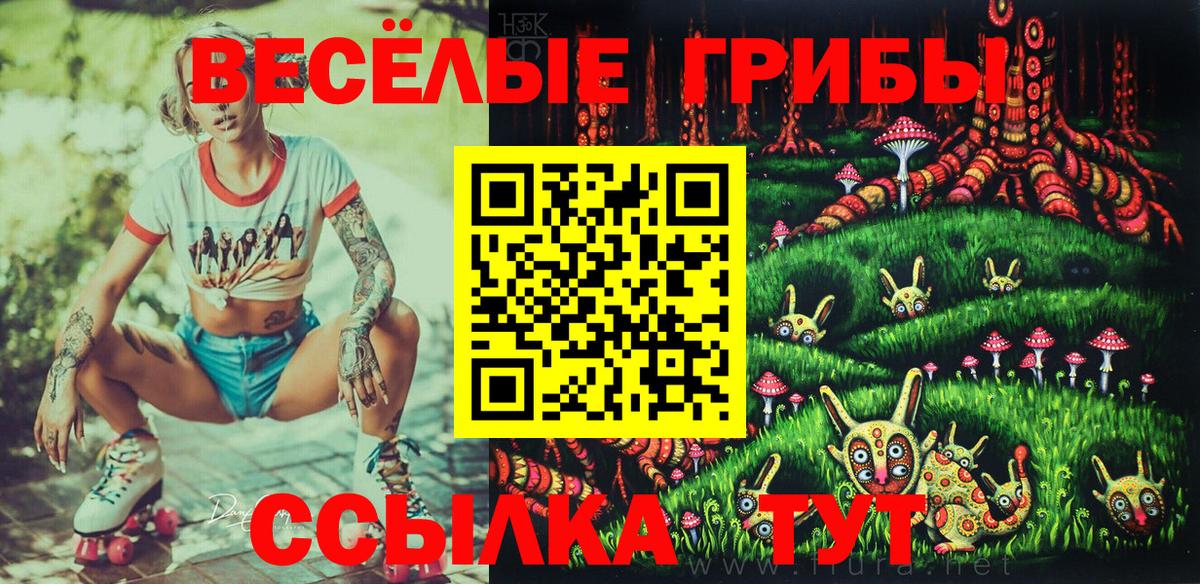 магазин продажи   Псилоцибиновые грибы MAGIC MUSHROOMS  Вход с VPN  Шарыпово 